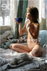 Sunny Morning 2